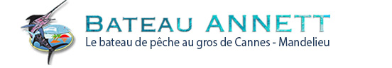 logo Pêche au gros