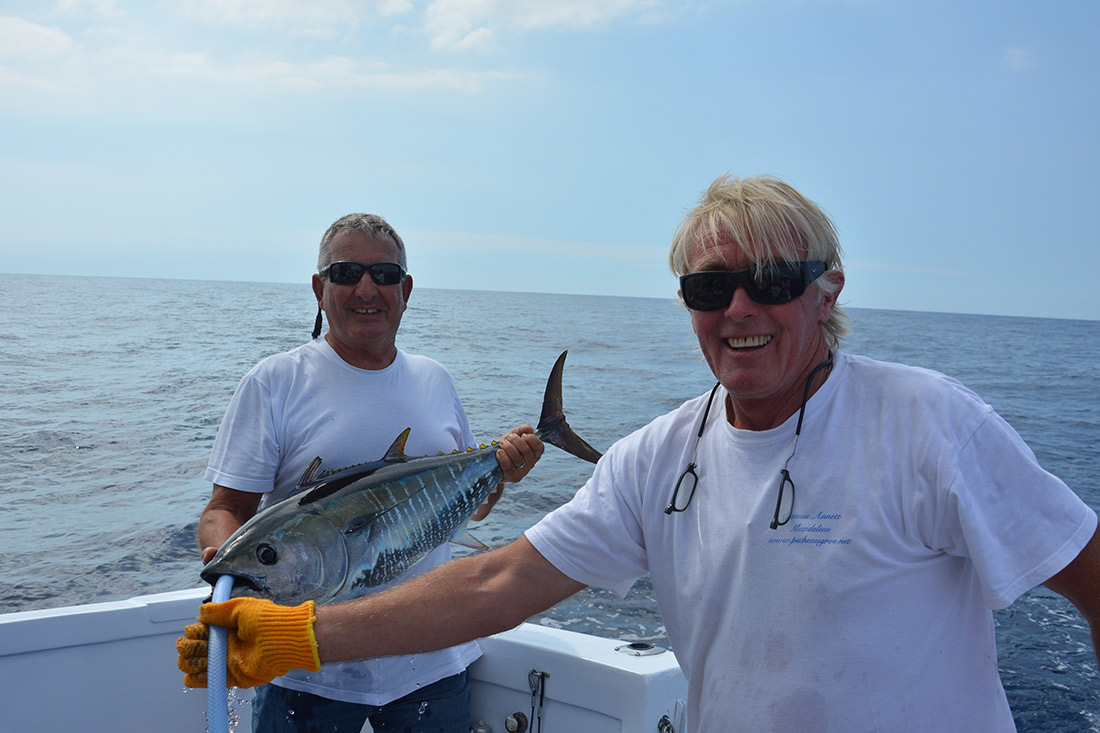 Découvrir les Cannes Big Game pour Pêche